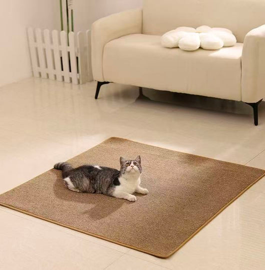 The Scratch Rug