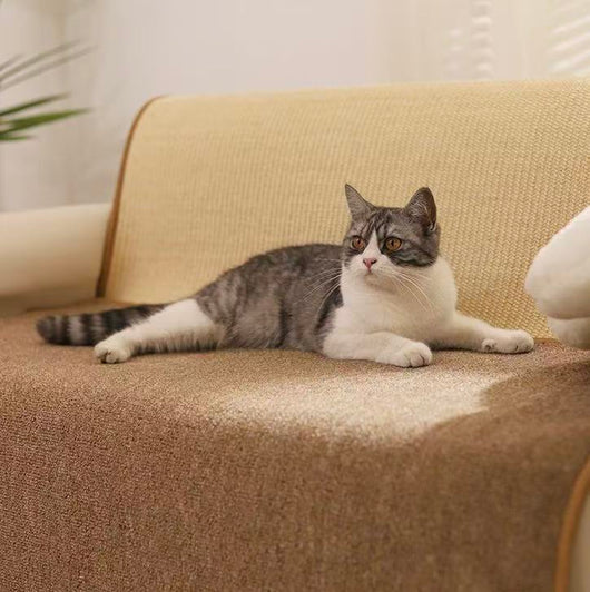 The Scratch Rug