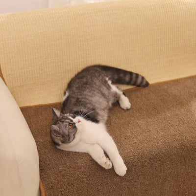The Scratch Rug