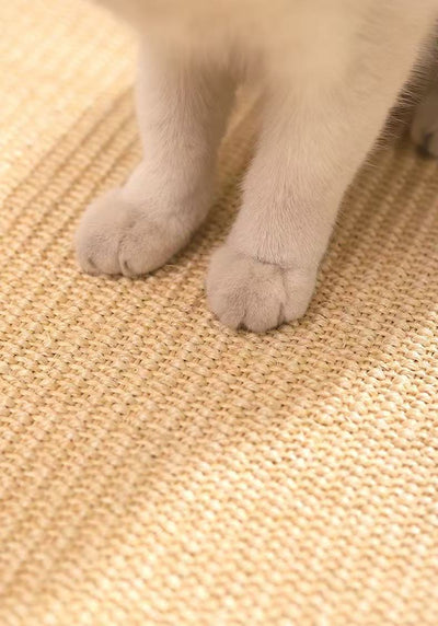 The Scratch Rug