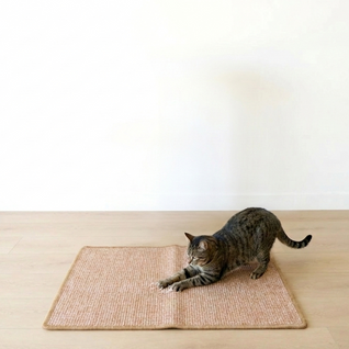 The Scratch Rug