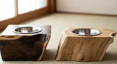 The Cat Bowl