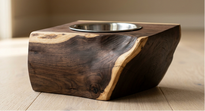 The Cat Bowl