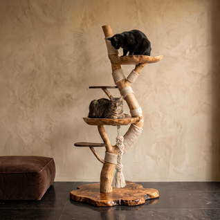 The Cat Tree