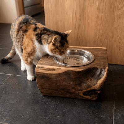 The Cat Bowl - Pounce