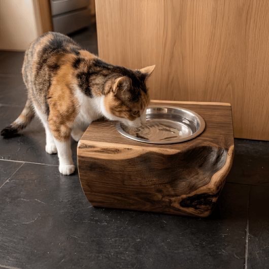 The Cat Bowl - Pounce
