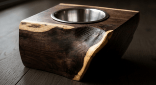The Cat Bowl
