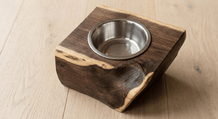 The Cat Bowl