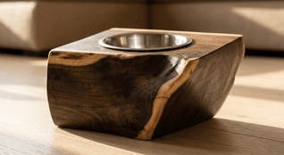 The Cat Bowl
