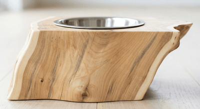 The Cat Bowl - Pounce