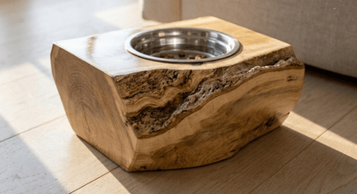 The Cat Bowl - Pounce