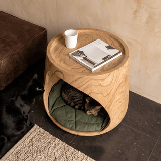 The Cat Lodge