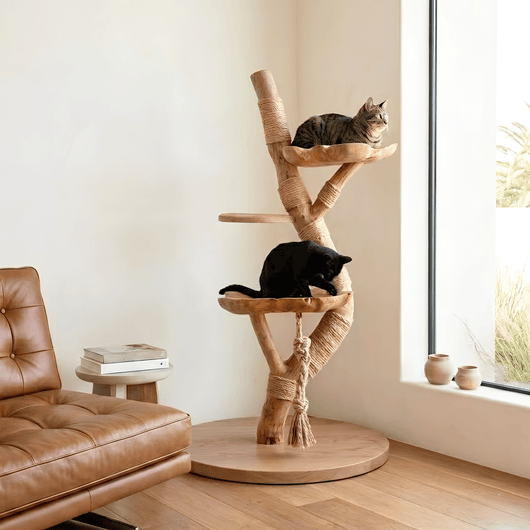 The Cat Tree - Pounce