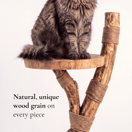The Cat Tree - Pounce