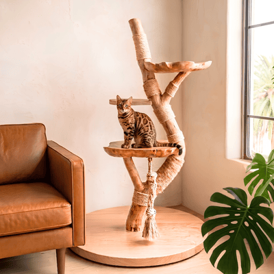The Cat Tree - Pounce