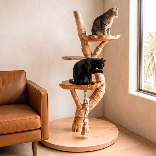The Cat Tree - Pounce