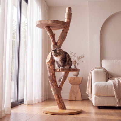 The Cat Tree - Pounce