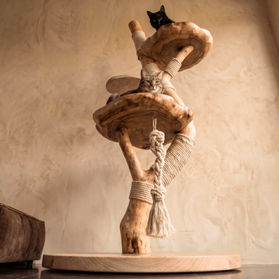 The Cat Tree - Pounce