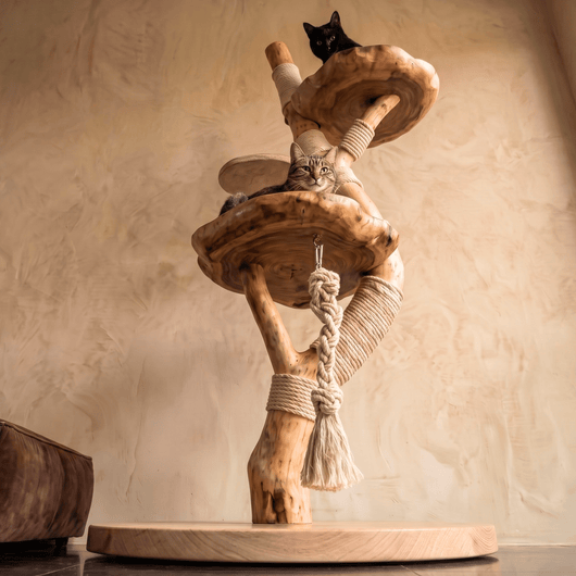 The Cat Tree - Pounce