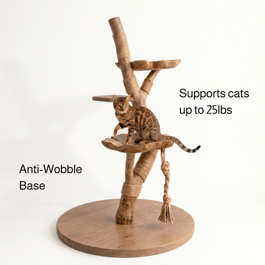 The Cat Tree - Pounce