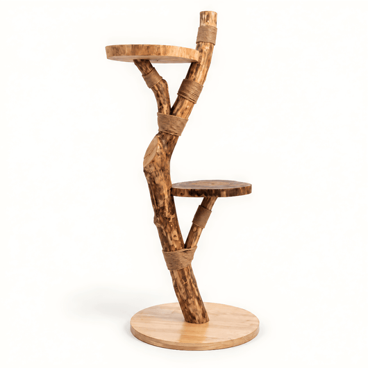 The Cat Tree - Pounce