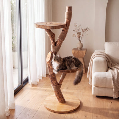 The Cat Tree - Pounce