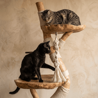 The Cat Tree