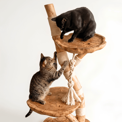 The Cat Tree - Pounce