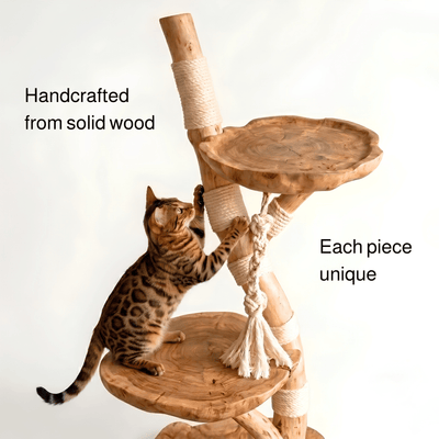 The Cat Tree - Pounce