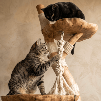 The Cat Tree - Pounce