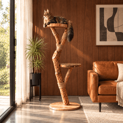 The Cat Tree - Pounce