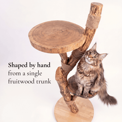 The Cat Tree - Pounce