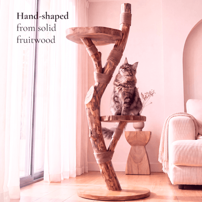 The Cat Tree - Pounce