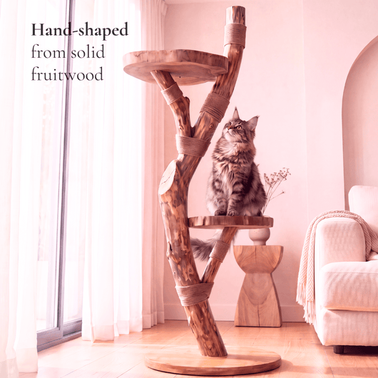 The Cat Tree - Pounce