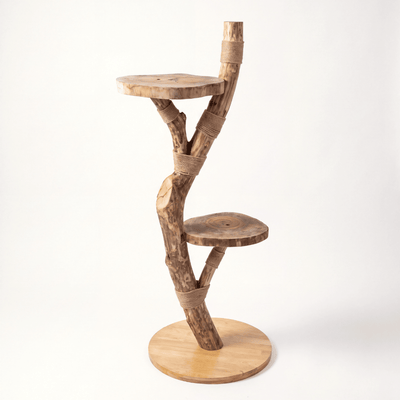 The Cat Tree - Pounce