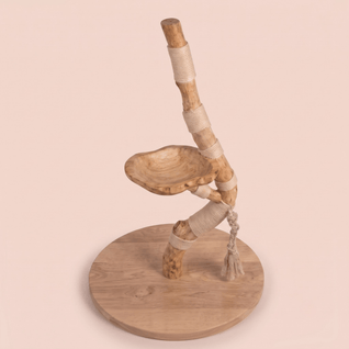 The Cat Tree