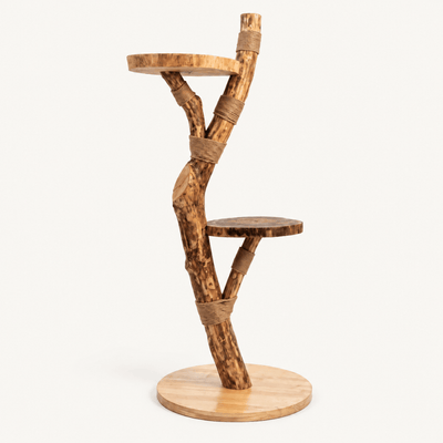 The Cat Tree - Pounce