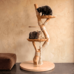 The Cat Tree