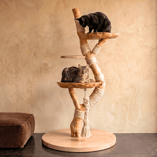 The Cat Tree - Pounce